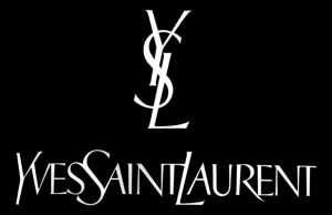 ysl login|ysl customer service.